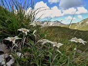 Cima Foppazzi (2097 m) e Cima Grem (2049 m) da Alpe Arera -22ag22- FOTOGALLERY